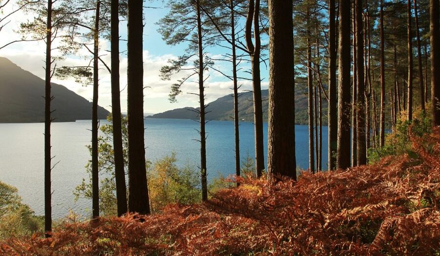 From Glasgow: Whisky and Loch Lomond Tour with Admissions - Who this tour suits (and who might want something different)
