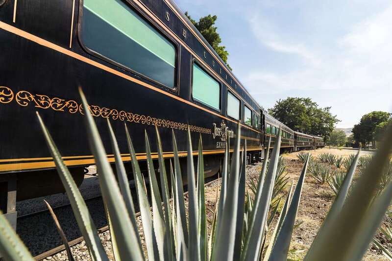 From Guadalajara: La Rojeña Distillery & Jose Cuervo Train - José Cuervo Express: the train ride that changes the whole day
