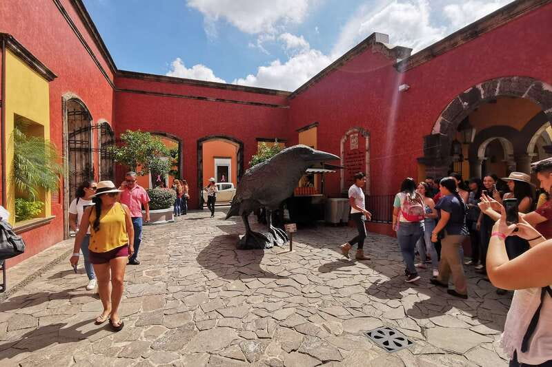 From Guadalajara: La Rojeña Distillery & Jose Cuervo Train - The jimador jima demonstration: how harvesting becomes real