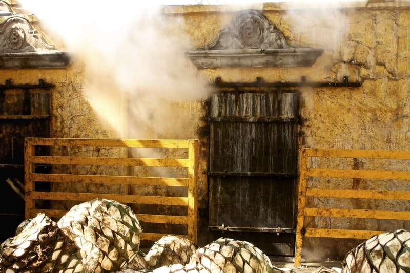 From Guadalajara: La Rojeña Distillery & Jose Cuervo Train - Tequila town: what the included free time really means