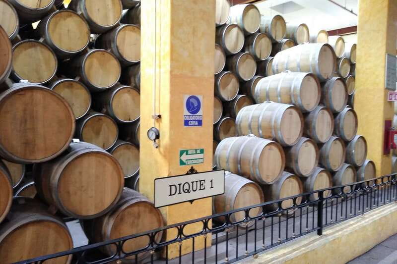 From Guadalajara: La Rojeña Distillery & Jose Cuervo Train - Who should book this tequila day trip, and who should skip it