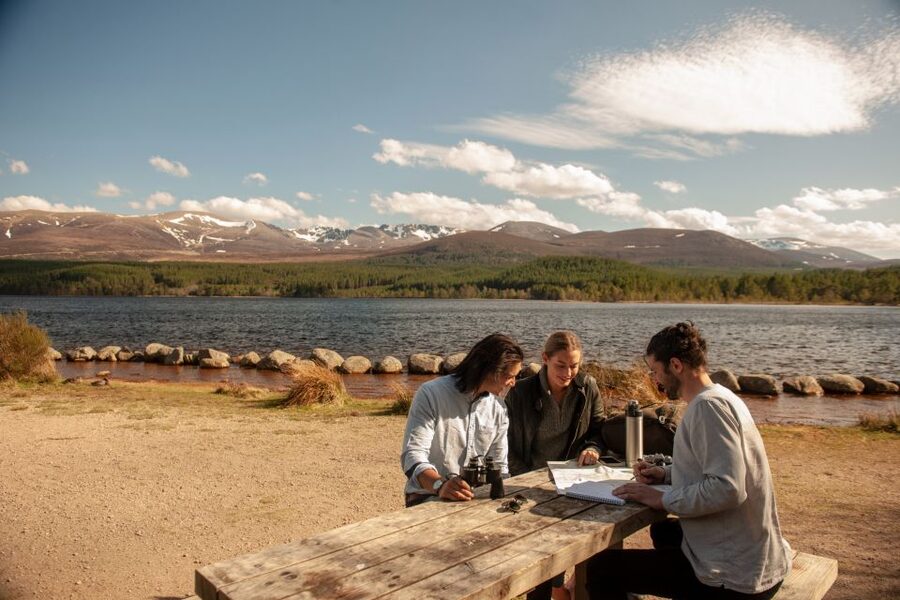 From Inverness: Cairngorms National Park and Whisky Tour - Cairngorms National Park Views: Camera Time That Actually Pays Off