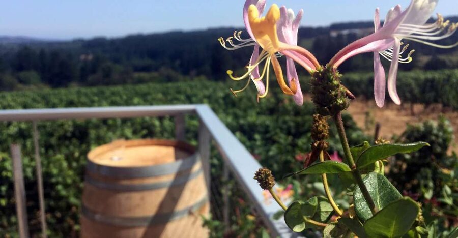From Portland: Willamette Valley Wine & Whisky - Tour logistics that affect your comfort (and your wallet)