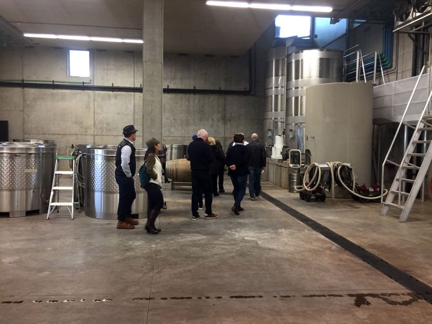 From Portland: Willamette Valley Wine & Whisky - Vineyard stop: learning the Willamette Valley AVA while your palate wakes up