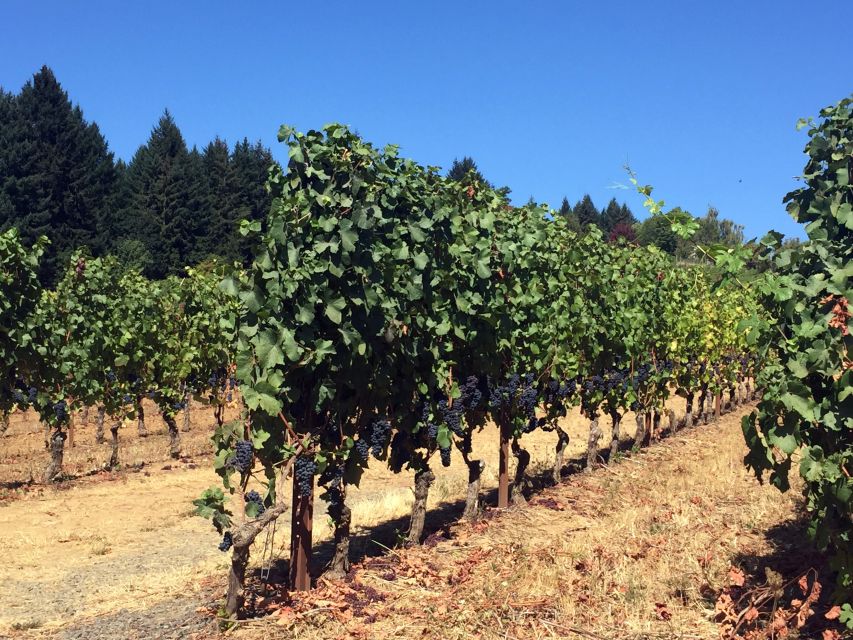 From Portland: Willamette Valley Wine & Whisky - Price and the real cost of tasting (the part you should plan for)
