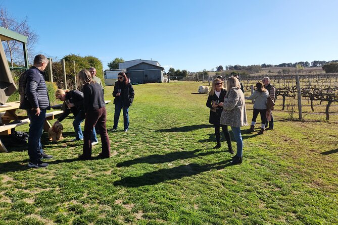 Full-Day Canberra Brewery, Wineries & Distillery tour /w lunch - Guide Energy, Communication, and the Little Things That Make It Feel Easier