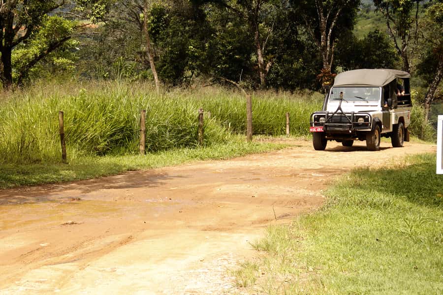 Full-Day Jungle Jeep Waterfall and Cachaça Distillery Tour - Jeep Into Serra da Bocaina: the day’s real engine
