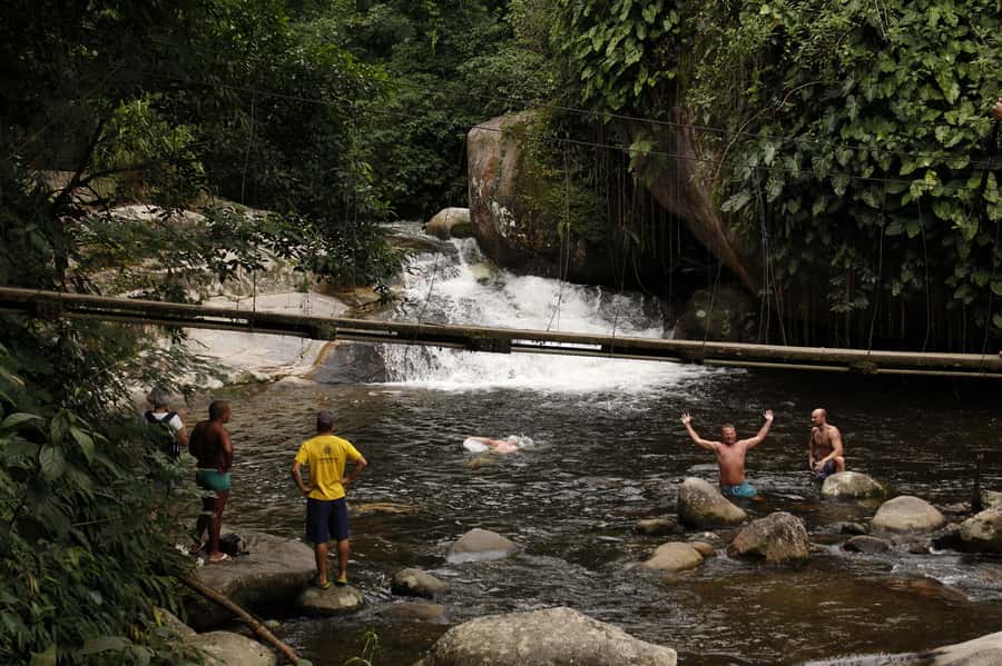 Full-Day Jungle Jeep Waterfall and Cachaça Distillery Tour - Bromeliad Exhibition: 300+ species and the best walking section