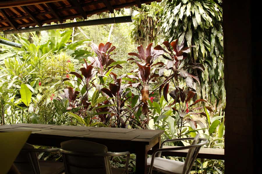 Full-Day Jungle Jeep Waterfall and Cachaça Distillery Tour - Who this tour fits best (and who might feel out of place)