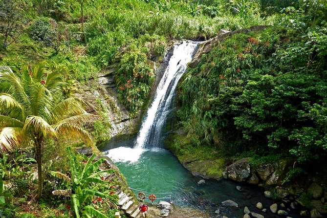 Full-Day Tour: Concord Waterfall, Chocolate Factory, Rum Distillery, Grand Etang - Key Points That Make This Tour a Smart Grenada Day