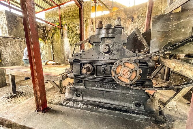 Full-Day Tour: Concord Waterfall, Chocolate Factory, Rum Distillery, Grand Etang - Jouvay Chocolate: Cocoa Fields, Quick Learnings, and Tastings