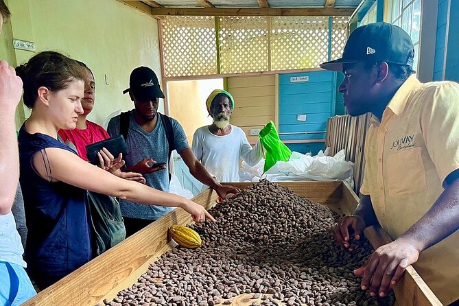 Full-Day Tour: Concord Waterfall, Chocolate Factory, Rum Distillery, Grand Etang - Sauteurs Bay Lunch: Caribbean Food With a View, Plus Time to Reset