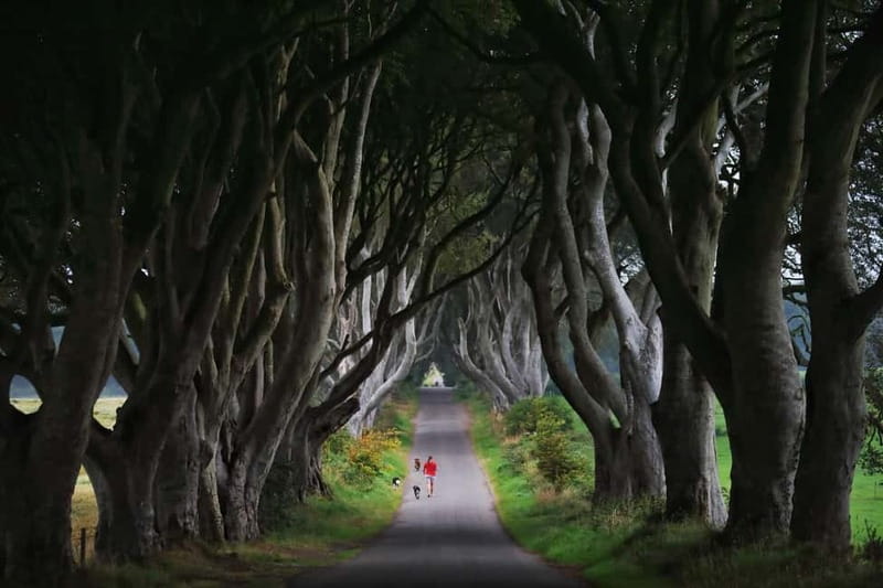 Giants causeway Irish castles & whiskey, Game of thrones - Bushmills Distillery: whiskey-making inside the world’s oldest working distillery