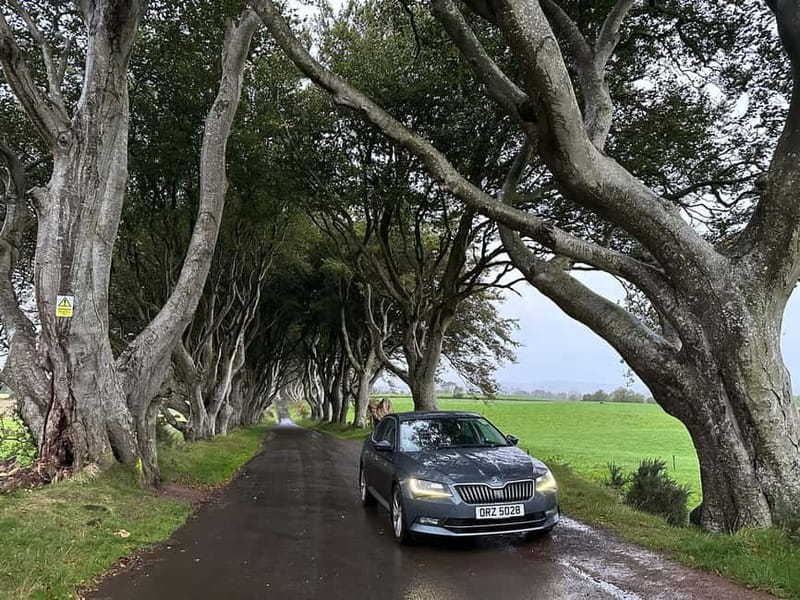 Giants causeway Irish castles & whiskey, Game of thrones - Dunluce Castle: ruins, sea-spray drama, and the Greyjoy link