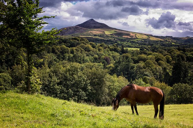 Glendalough and Powerscourt Distillery Ireland Whiskey Tour - When Powerscourt doesn’t open: how “plan changes” can still keep whiskey in the picture