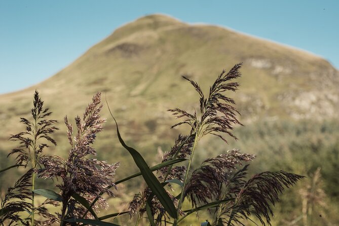 Glengoyne Distillery Tour with Whisky and Chocolate Tasting - Who should book this tour, and who should skip it