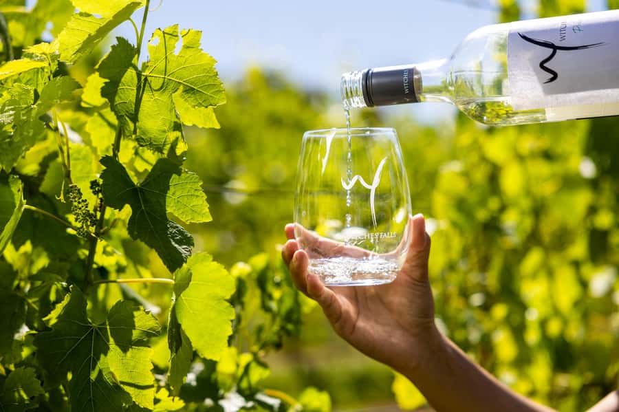 Gold Coast: Premium Wine Tour with Gourmet Lunch - What to bring, and how to make the day smooth