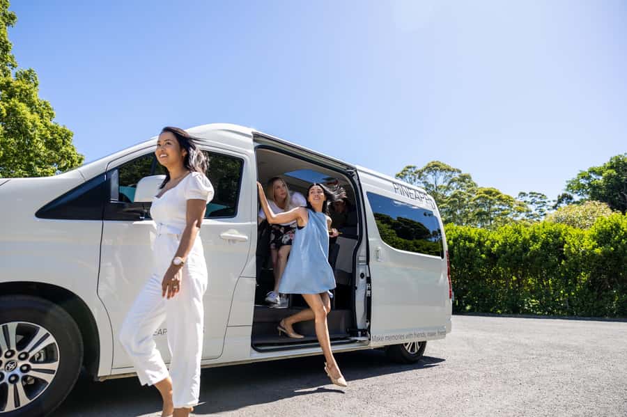 Gold Coast: Premium Wine Tour with Gourmet Lunch - Price and value: is $211 fair for this 8-hour day?