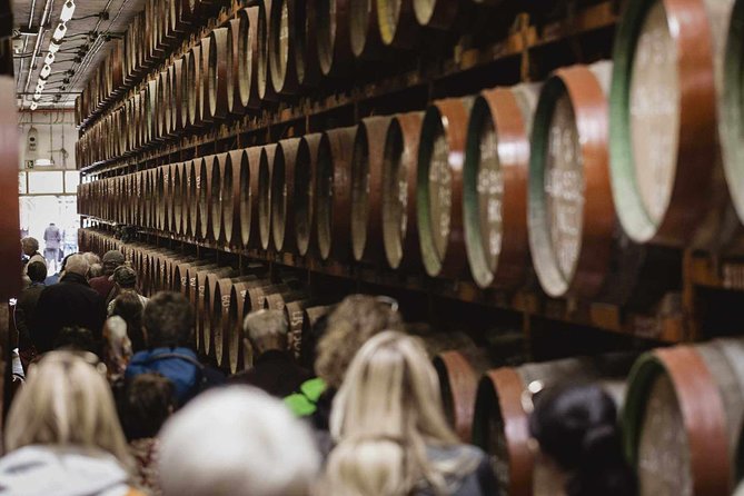 Guided Tour at Ron Arehucas Distillery - Key highlights worth knowing