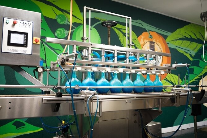 Guided Tour at the Curaçao Liqueur Distillery - Who This Distillery Tour Is Best For (and Who Might Not Enjoy It)