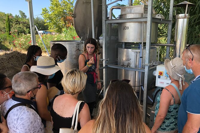 Guided tour Distillery of Lavender between Nîmes & Arles - From Plant to Essential Oil: The Alchemy Explanation That Makes Scents Make Sense