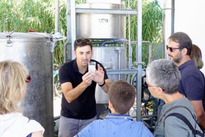 Guided tour Distillery of Lavender between Nîmes & Arles - Stop 1 Outdoors at the Mas: Lavender, Verbena, Immortelle, and the Tools Behind It