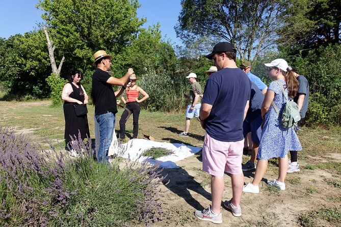Guided tour Distillery of Lavender between Nîmes & Arles - Boutique Time: Organic Values, Products, and Personalized Advice
