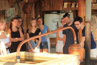Guided tour of an ancestral Mezcal distillery with transport - Part One: The Mezcal Primer That Actually Helps