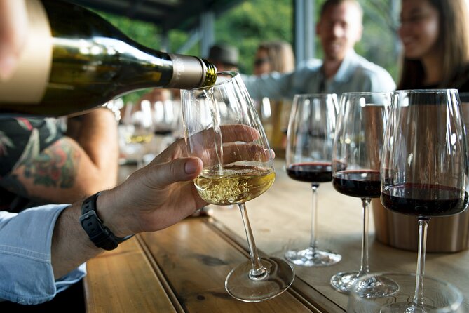 Hunter Valley Wine Tour ex Hunter Valley - Lunch, Cheese, Chocolate, Distillery - What You’re Paying For: Value at $192.94 Per Person