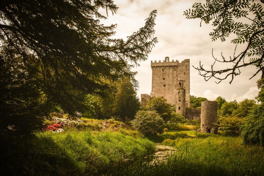 Ireland: Blarney Castle, Kilkenny & Irish Whiskey 3-Day Tour - The value question: what you’re paying for at $788