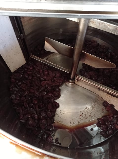 Ischia: Private Distillery Tour and tasting with the Artisan - Inside the distillery: what you learn about technique (and what you’ll notice while tasting)