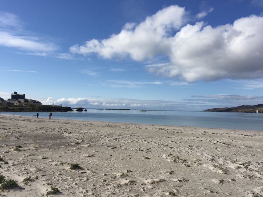 Islay: 4-Day Whisky Tour from Edinburgh - Getting around Islay: small-van comfort and the bumpy-road reality