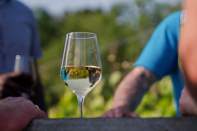 Jersey Premium Vineyard and Distillery Wine Tour and Tasting - La Mare’s Jersey Wine and Distillery Tour: Fast, Flavorful, and Local