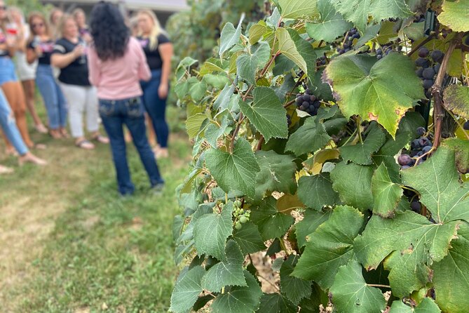 Kansas City Brewery, Winery, and Distillery Tour - Stop 1: The Brewery Start That Sets Your Taste Baseline