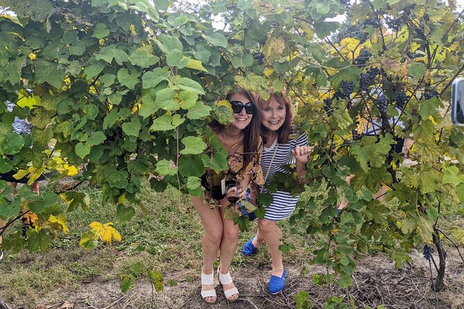 Kansas City Brewery, Winery, and Distillery Tour - Stop 2: Winery Lessons and That Host Energy
