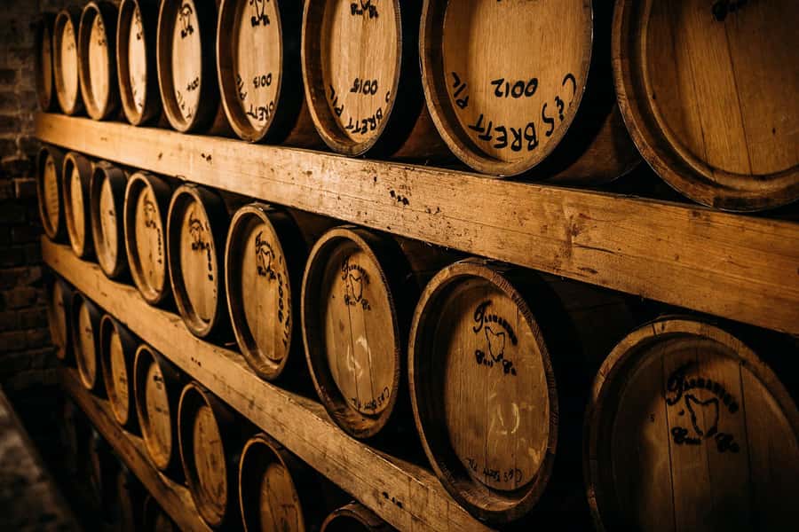 Kempton: Craft Distillery Tour with Whisky Tasting & Lunch - Cask Lounge Tastings: Four Spirits, One Guided Sequence
