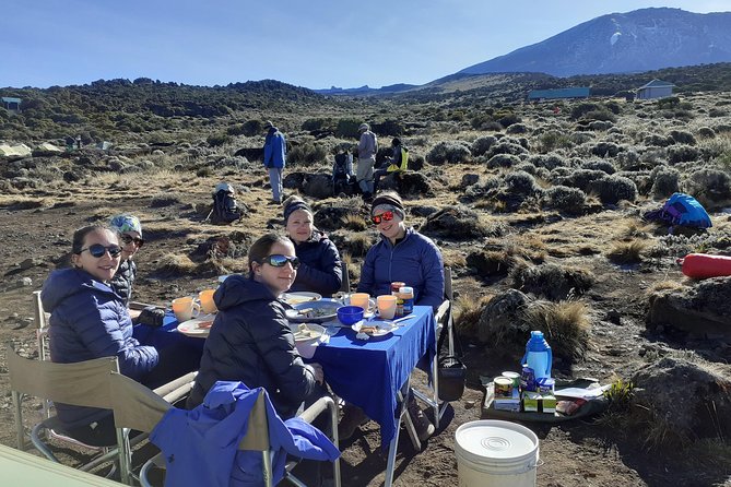 KILIMANJARO MACHAME ROUTE, (Climb 7days) "Whiskey" route - Day 2: Shira 2 Camp and the shift into heath and moorland