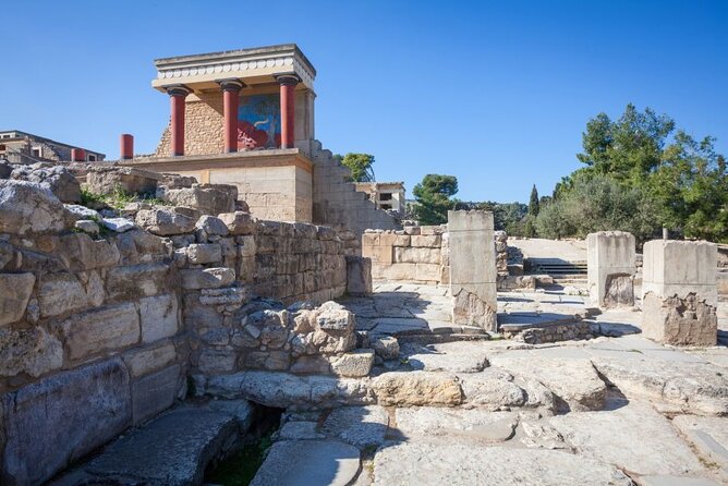 Knossos, Olive Grove, Winery - Distillery with Tastings & Lunch - Price and Logistics: What You’re Paying For