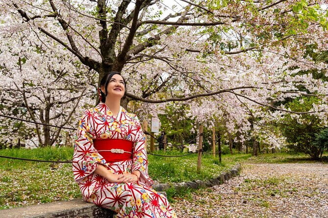 Kyoto Half Day Yamazaki Whisky Museum and Asahi Art Museum - Who should book this tour (and who should think twice)