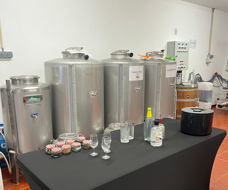 Lagos: Guided Gin Distillery Tour With Tasting at Alma Luz - The 1-hour guided tour: what you actually learn