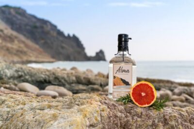 Lagos: Guided Gin Distillery Tour With Tasting at Alma Luz - Finding the grey metal door in Lagos
