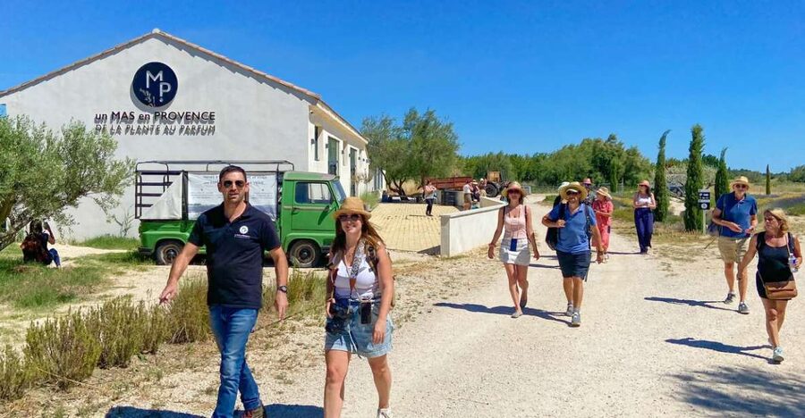 Lavender Field & Distillery Tour between Nimes & Arles - Lavender Field Meets the Distillery Still: What the Tour Really Feels Like