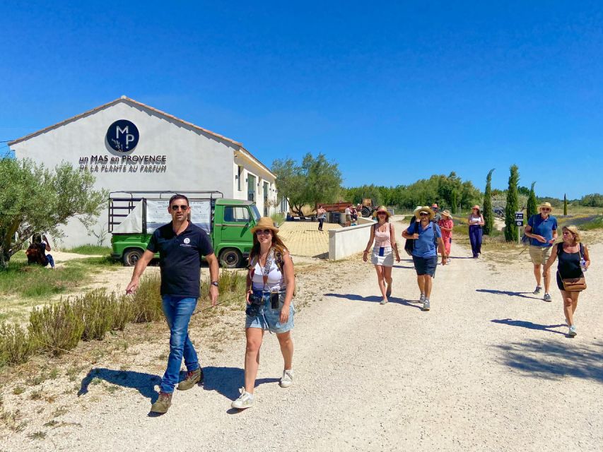 Lavender Field & Distillery Tour between Nimes & Arles - The Aromatic Plant Fields: Touch, Smell, and Learn the Practical Uses