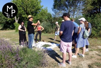 Lavender Field & Distillery Tour between Nimes & Arles - Getting Oriented in the Boutique Before You Walk Out