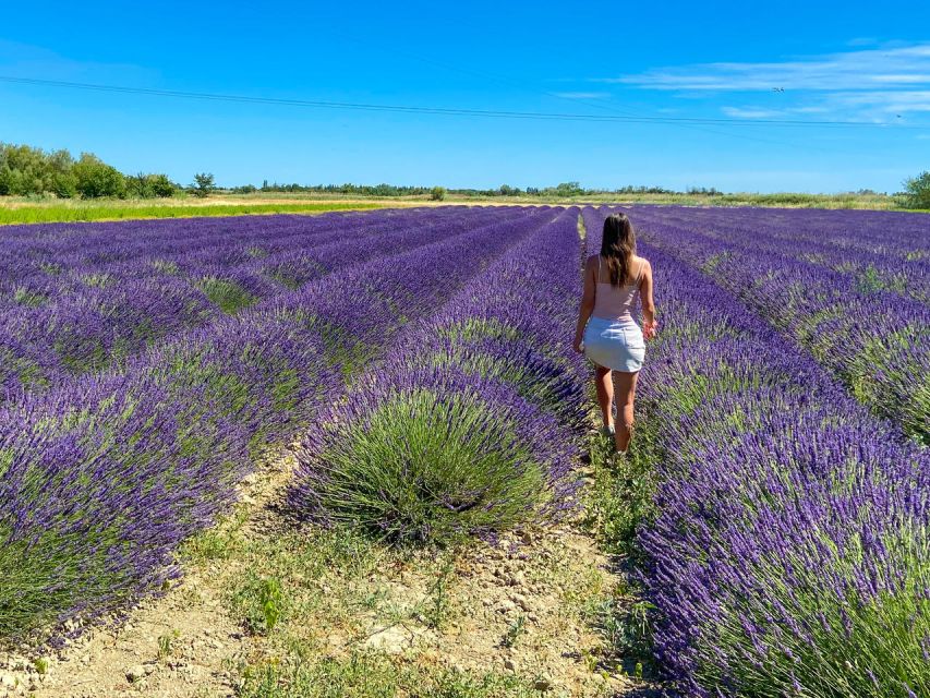 Lavender Field & Distillery Tour between Nimes & Arles - “Becoming an Alchemist” at the Still: How Essential Oils Are Extracted