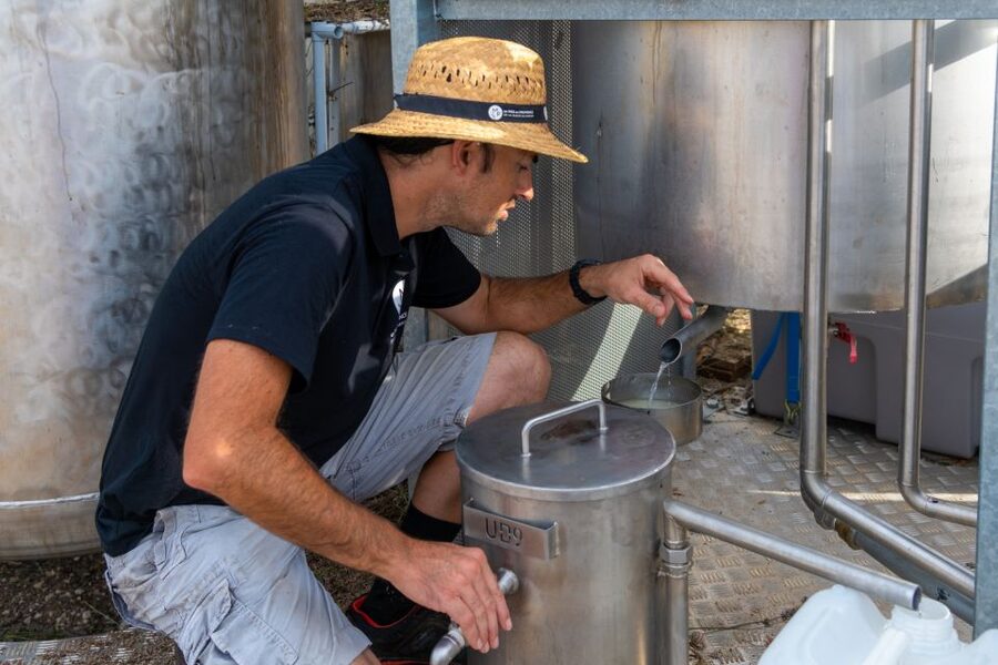 Lavender Field & Distillery Tour between Nimes & Arles - Store Time and Personalized Advice: What You Can Actually Take Home