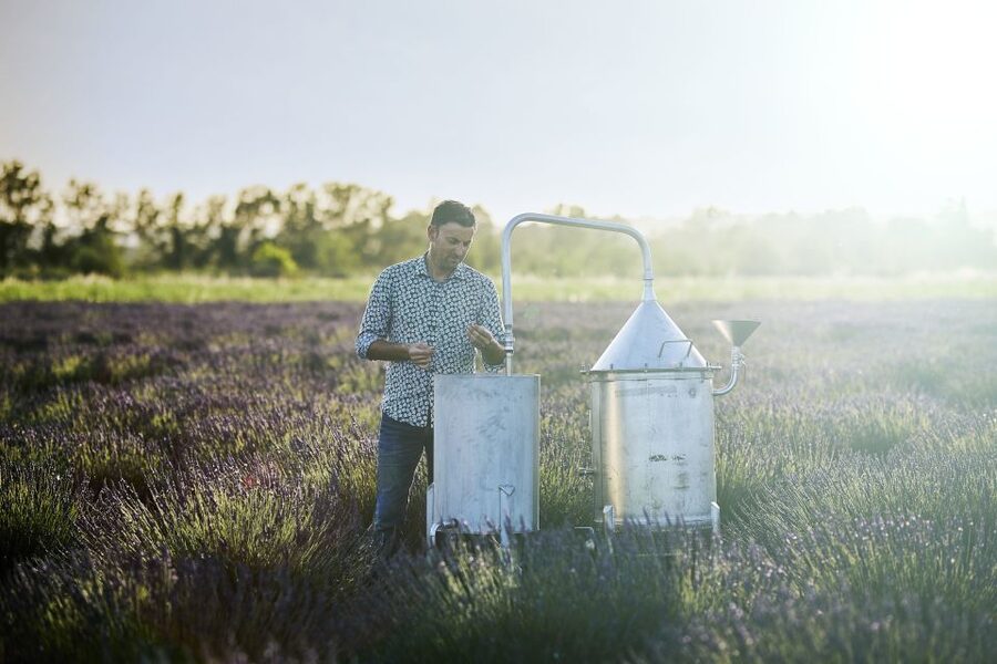 Lavender Field & Distillery Tour between Nimes & Arles - Location Between Arles and Nîmes: Driving vs. Bus