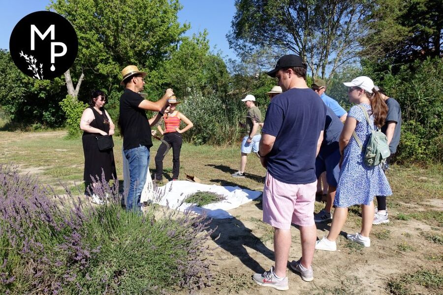 Lavender Field & Distillery Tour between Nimes & Arles - Getting Oriented in the Boutique Before You Walk Out
