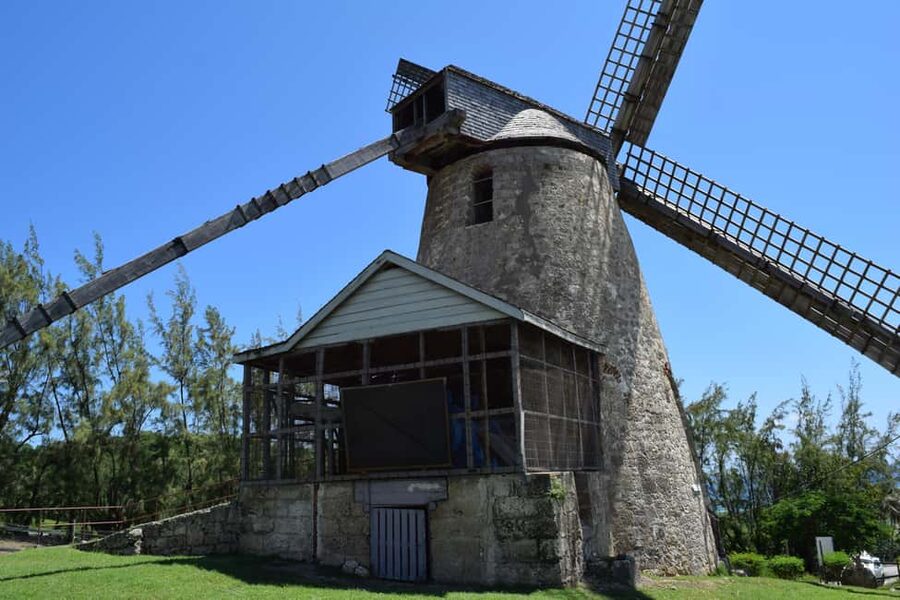 Monkey Feeding & Historic Sugar Plantation & Rum Distillery - How the 4.5 Hours Really Play Out (Pickup, roads, and pacing)