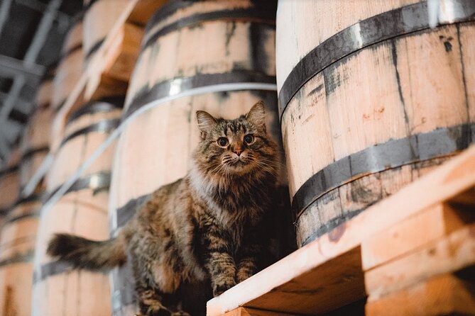 Nelson's Green Brier Distillery Guided Tour with Tastings - Gift Shop and On-Site Drinks: Don’t Miss the Easy Wins